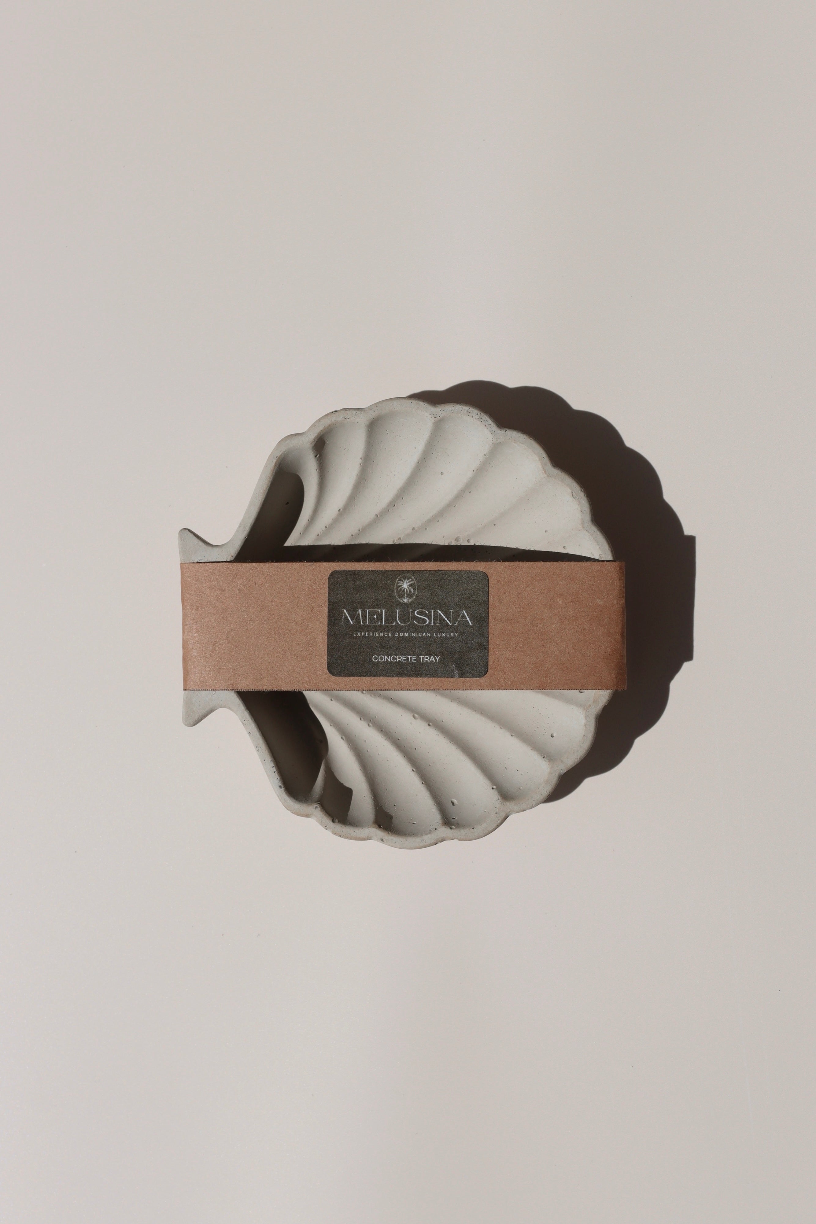 SEASHELL TRAY